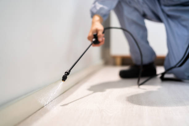 Licensed Pest Control service in New Jersey, NJ - Show Me Pest Control