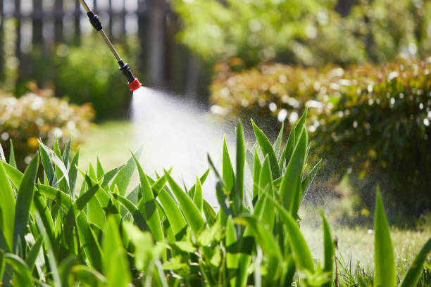 24/7 Emergency Pest Control experts in New Jersey, NJ